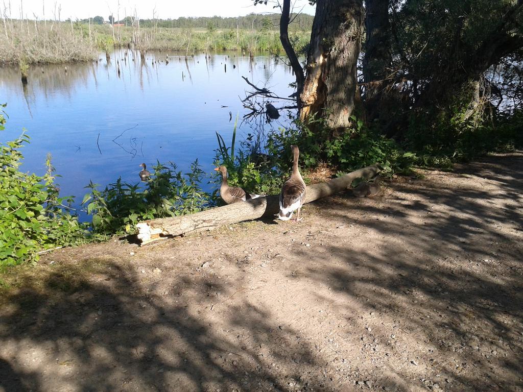 Kolonialny Olympic Park *